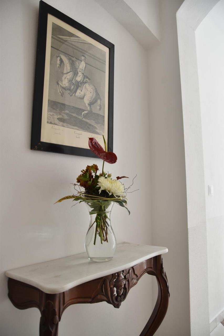 Apartmenthaus Albrechtsburg Bad Schandau Buitenkant foto